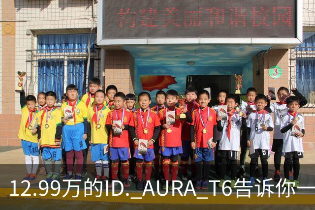 12.99万的ID. AURA T6告诉你一分钱能买两分货